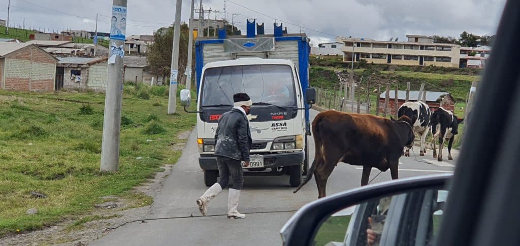 driving while abroad itravelthere